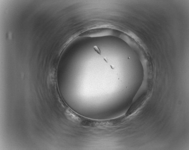 X0000066941001200603241137