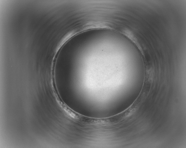 X0000066941002200603241137