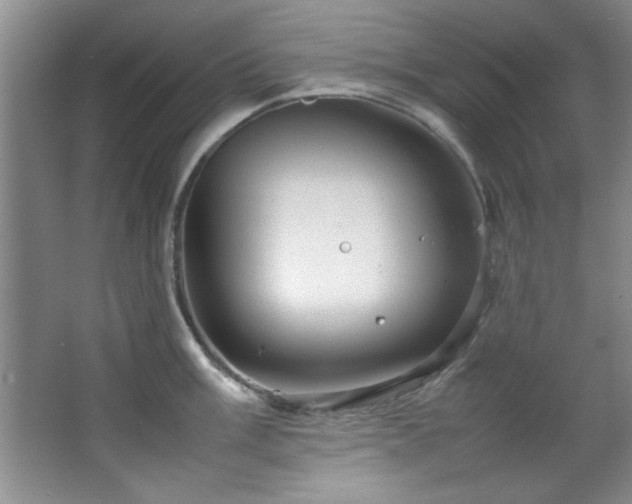 X0000066941003200603241137