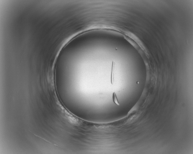 X0000066941004200603241137