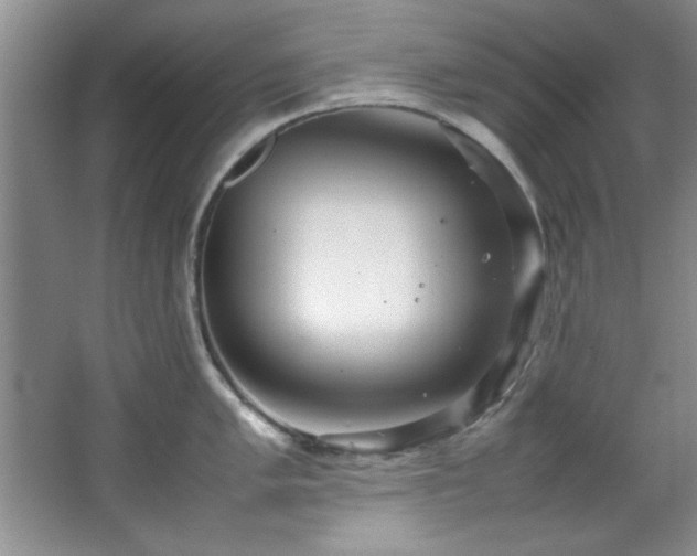 X0000066941005200603241137