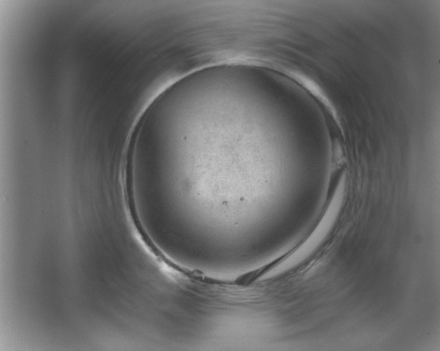 X0000066941007200603241137