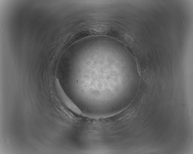 X0000066941009200603241136