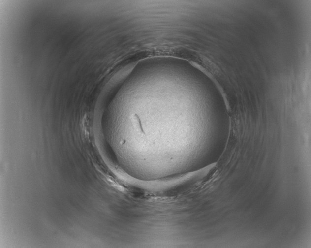 X0000066941010200603241136