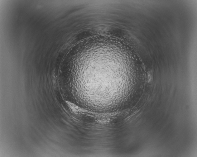 X0000066941011200603241136