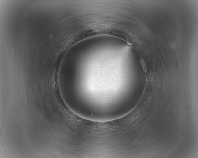 X0000066941012200603241136