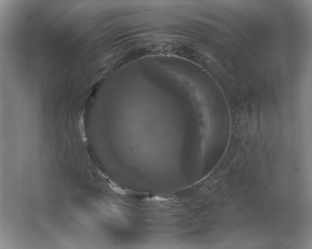 X0000066941013200603241136