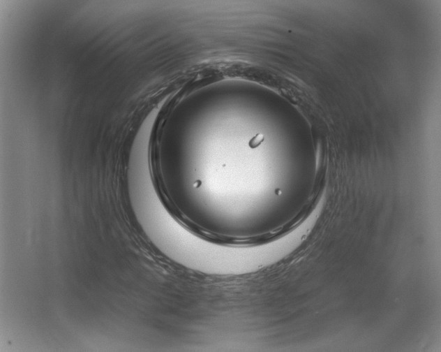 X0000066941014200603241136