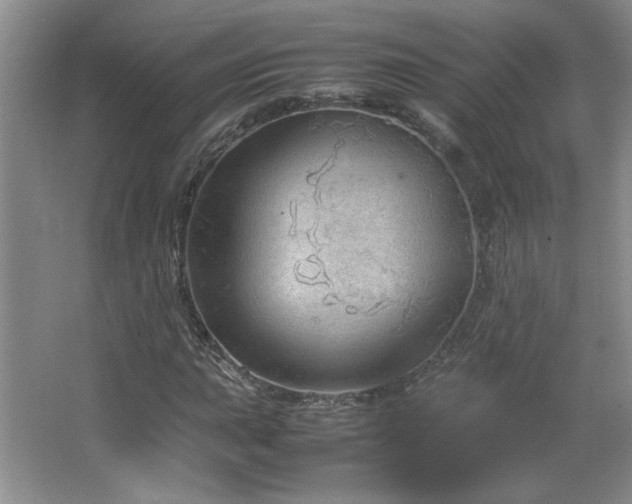 X0000066941015200603241136