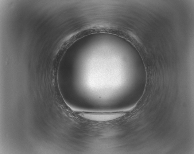 X0000066941016200603241136