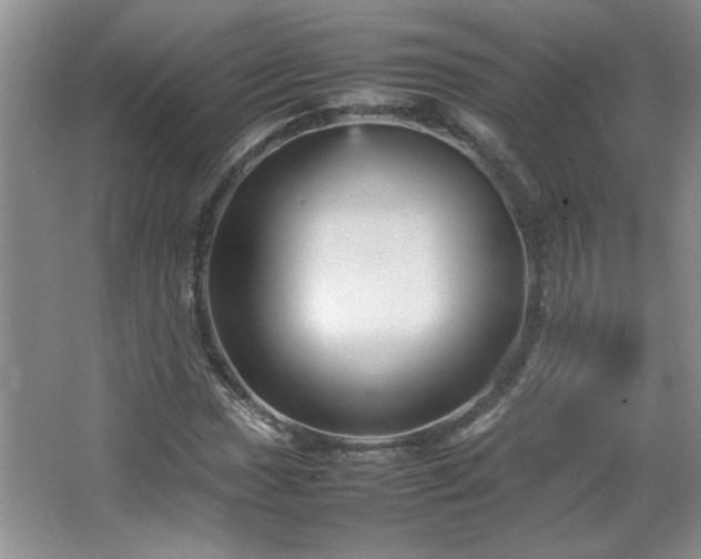 X0000066941017200603241136