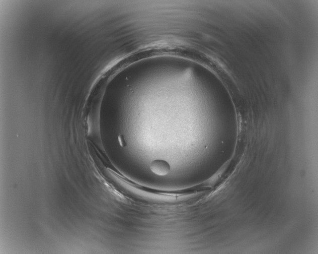 X0000066941018200603241136