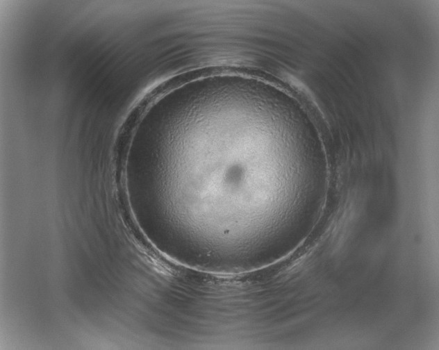 X0000066941019200603241136