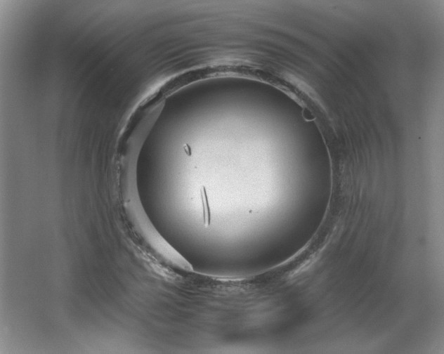 X0000066941021200603241136