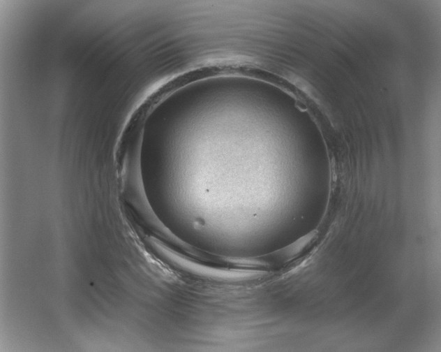 X0000066941022200603241136