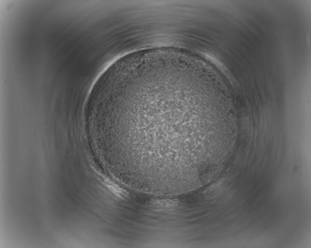 X0000066941023200603241136