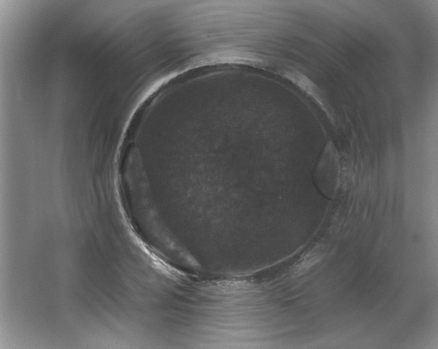 X0000066941024200603241136