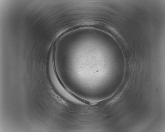 X0000066941025200603241136