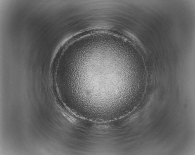 X0000066941027200603241136