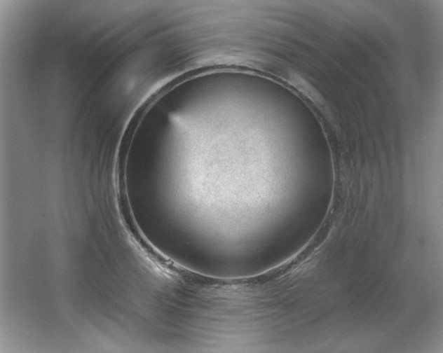 X0000066941028200603241136