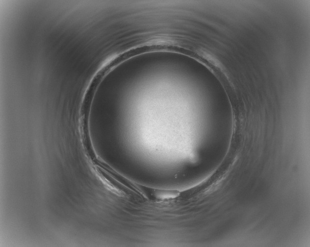 X0000066941029200603241136