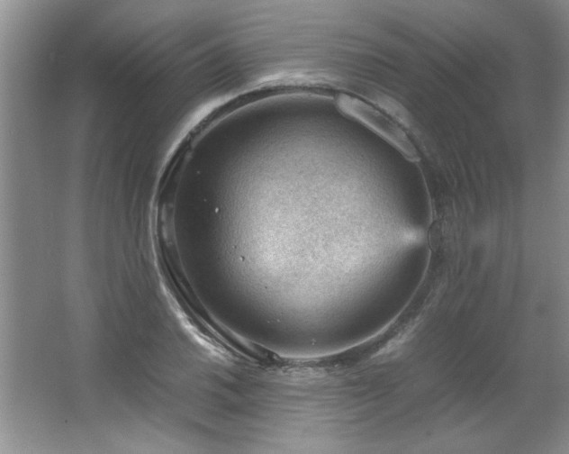 X0000066941030200603241137