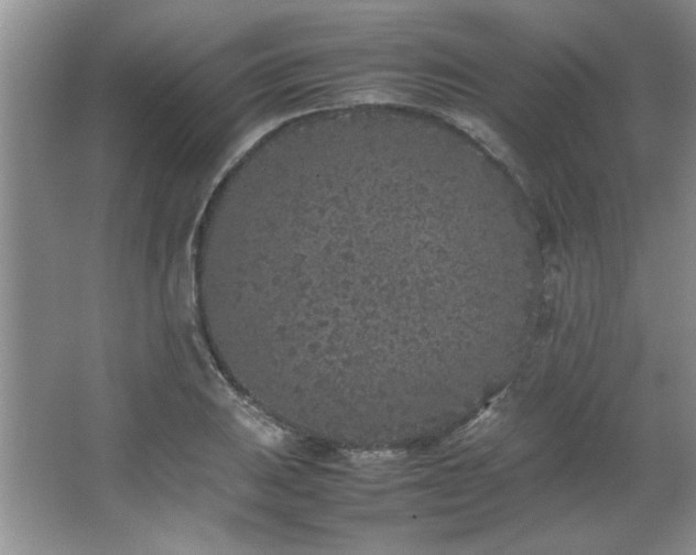 X0000066941031200603241137