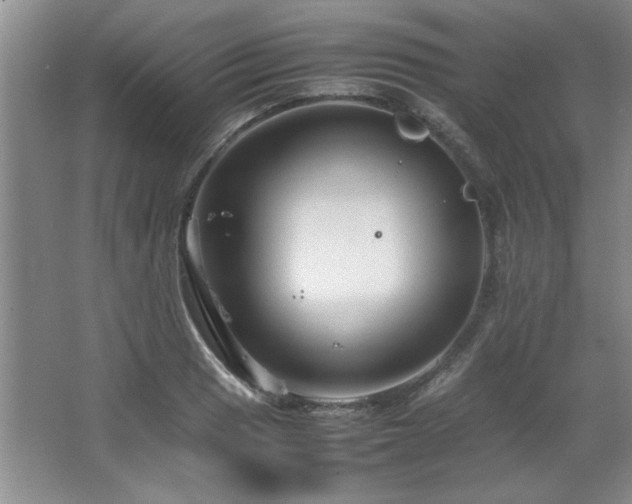 X0000066941033200603241137