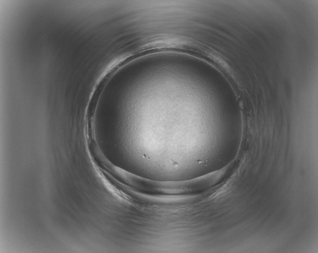 X0000066941034200603241137