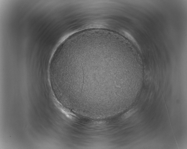 X0000066941035200603241137