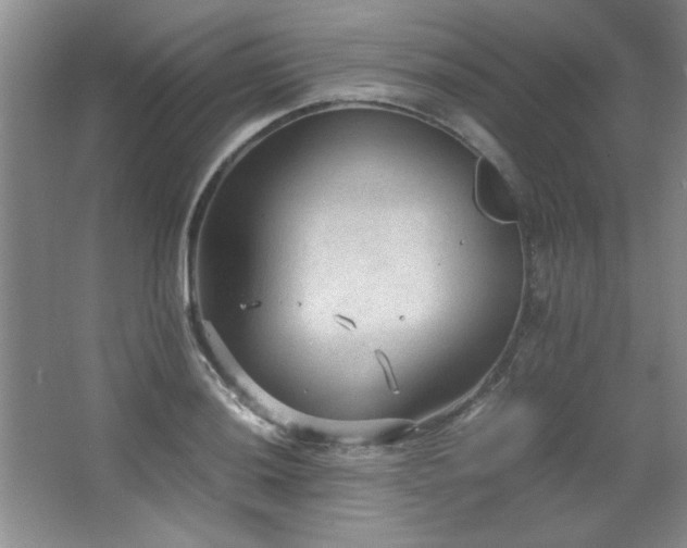 X0000066941036200603241137