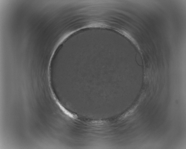 X0000066941037200603241137