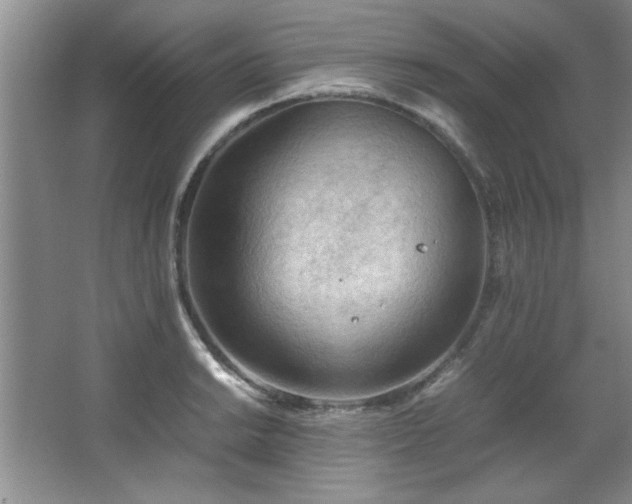 X0000066941038200603241137