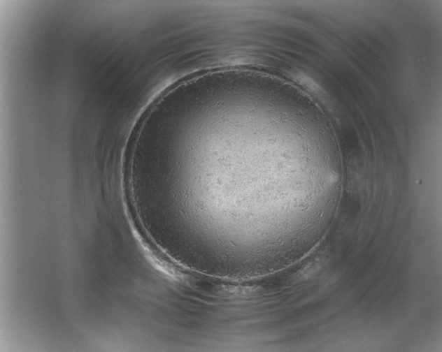 X0000066941039200603241137