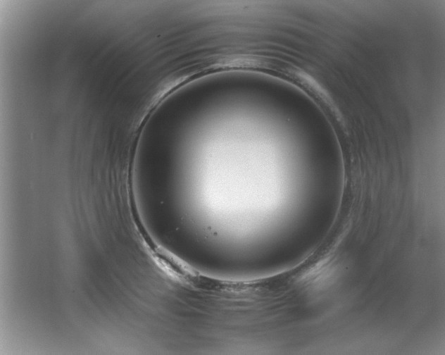 X0000066941041200603241137