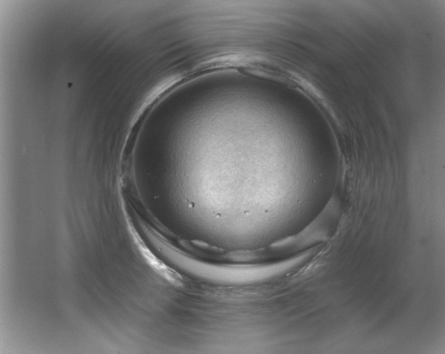 X0000066941042200603241137