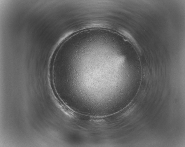 X0000066941043200603241137