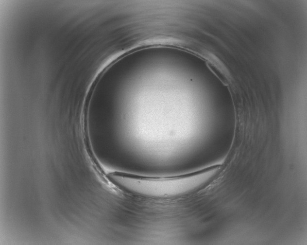 X0000066941044200603241137