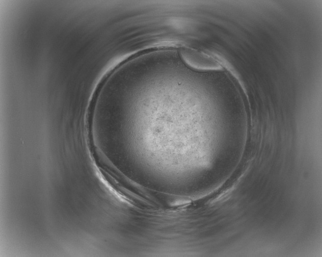 X0000066941045200603241137