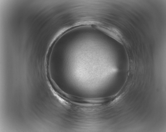 X0000066941046200603241137