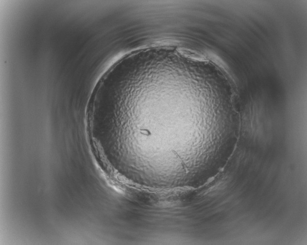 X0000066941047200603241137