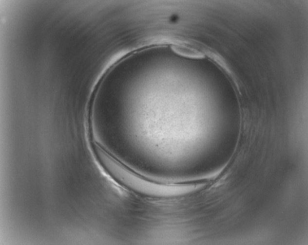 X0000066941048200603241137