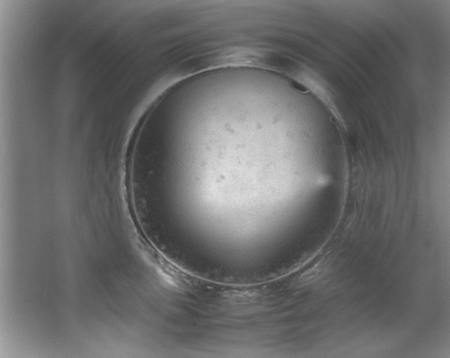 X0000066941051200603241137