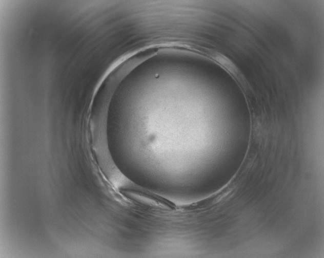 X0000066941052200603241137