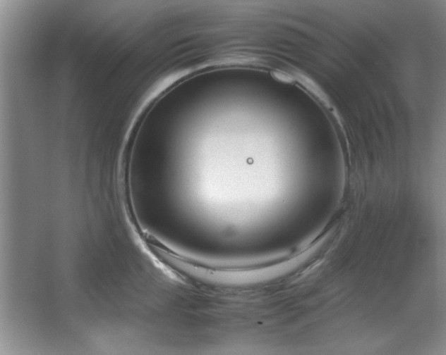 X0000066941053200603241137