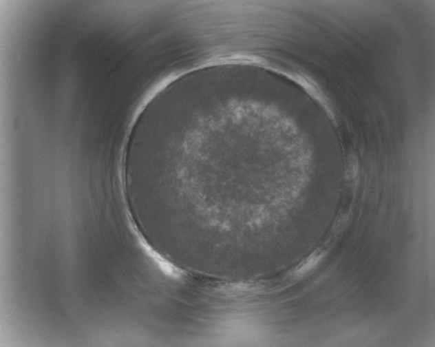 X0000066941054200603241137