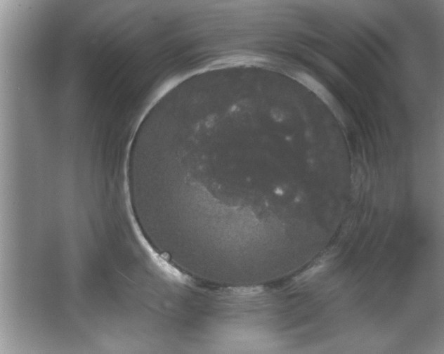 X0000066941055200603241137