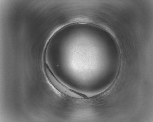 X0000066941056200603241137