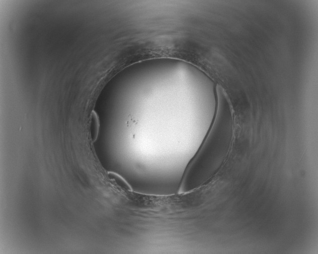 X0000066941057200603241136