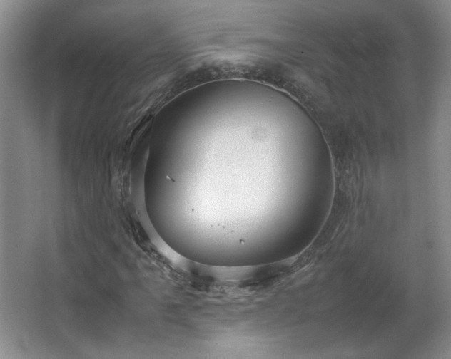 X0000066941061200603241136